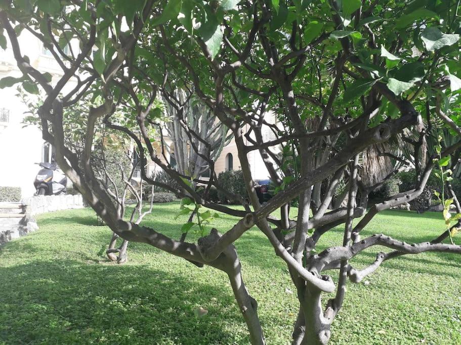 דירות בורדיגרה La Casa Di Anna, In Palazzina Liberty Fronte Parco מראה חיצוני תמונה